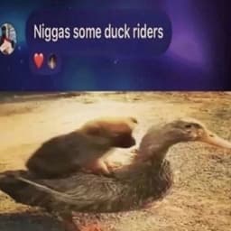 cocky #mixx