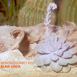 #153: Alma Linda - Montagssorbet mit Laut und Luise
