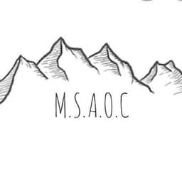 Sonder - Too Fast  - M.S.A.O.C. Remix